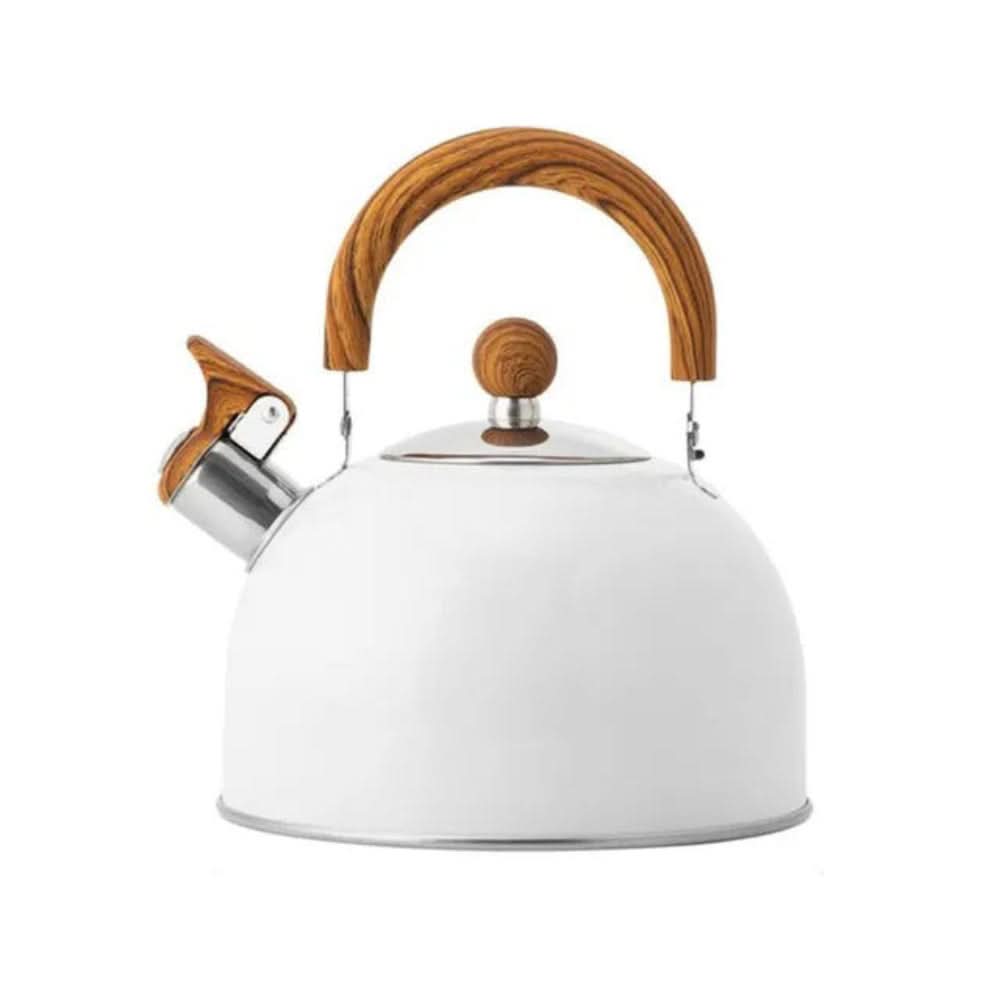 Fast Boiling Stainless Steel Tea Kettle