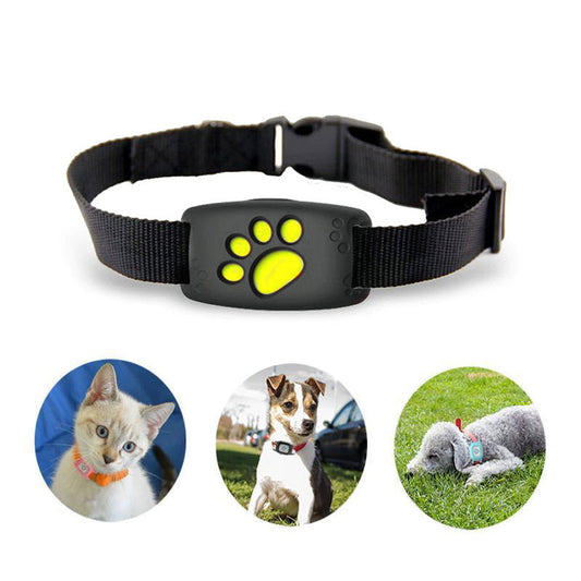 Advanced Cat Tracker Collar With Live GPS Location - VogeLuxe