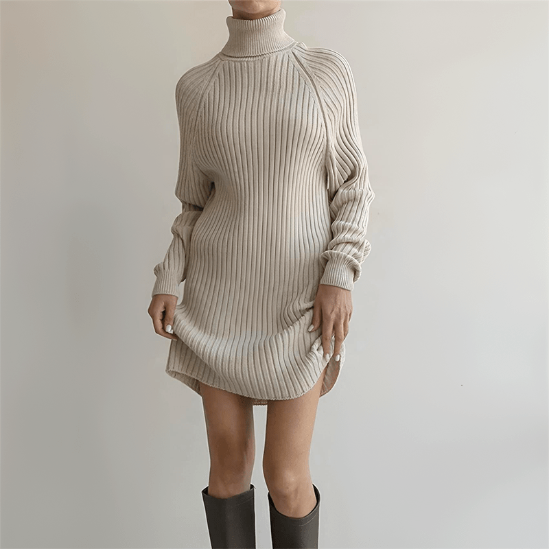 Warm Winter Sweater Dress for Women