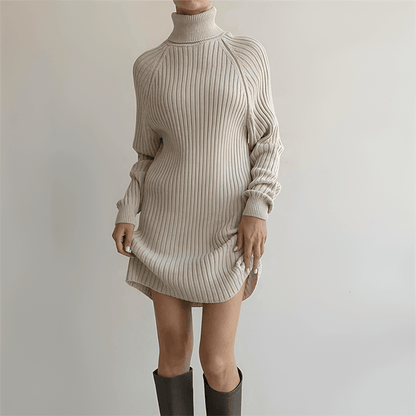 Warm Winter Sweater Dress for Women