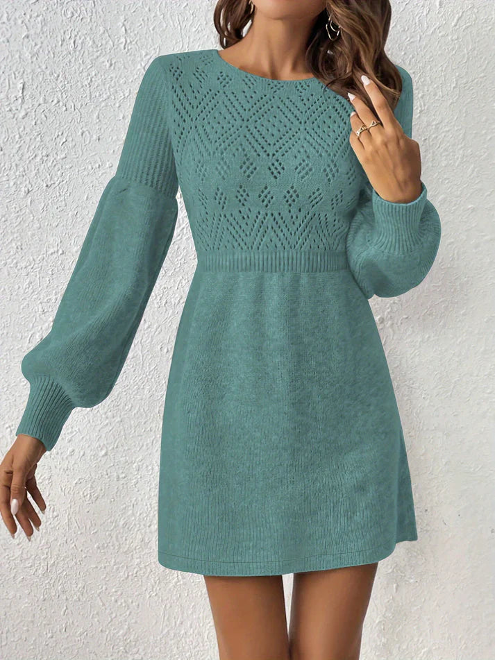 Elegant Lace Fit Flare Long Sleeve Women's Party Dress