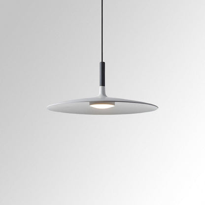 Simple Elegant Drop Ceiling Light - VogeLuxe
