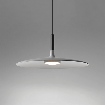 Simple Elegant Drop Ceiling Light