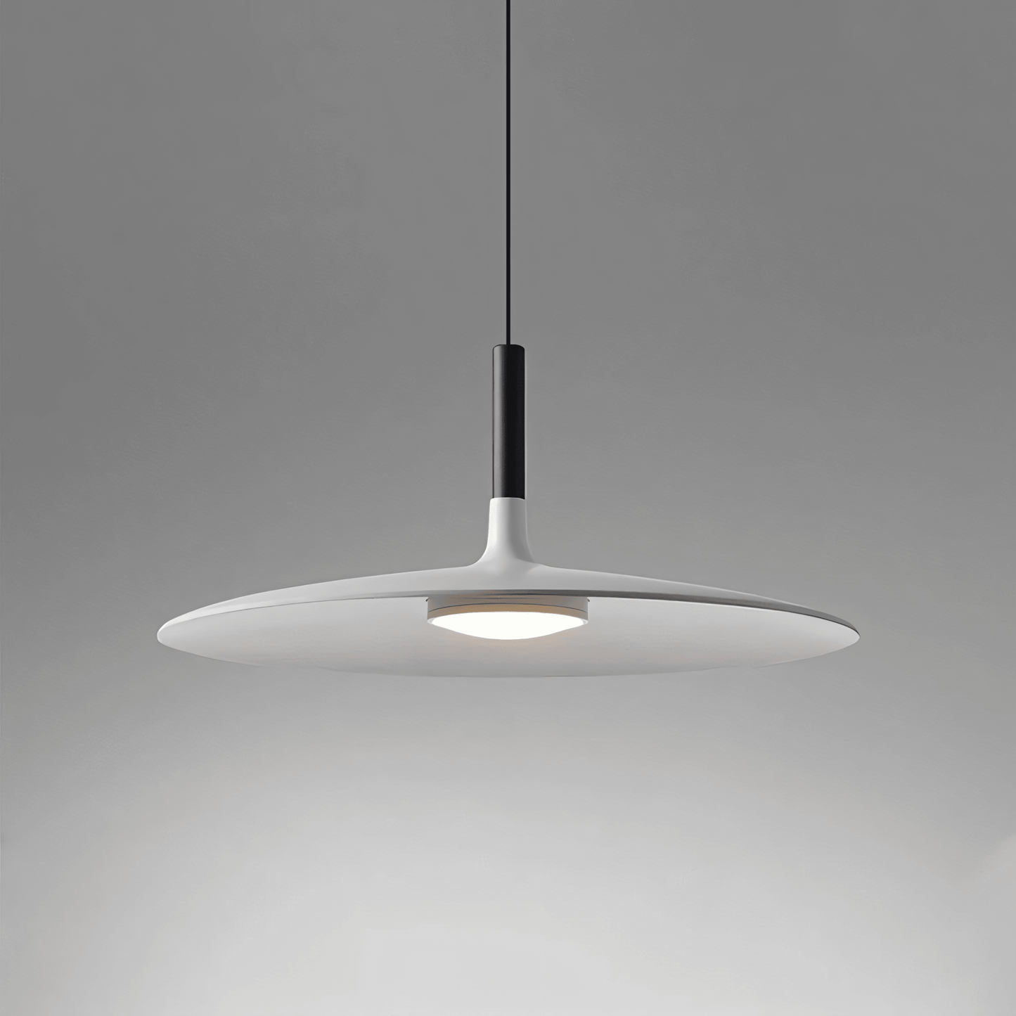 Simple Elegant Drop Ceiling Light