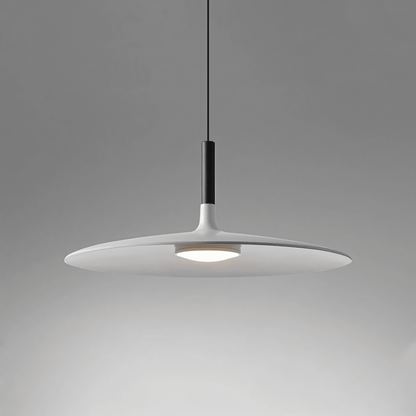 Simple Elegant Drop Ceiling Light