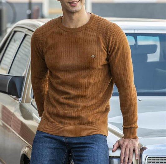 Warm Winter Mens Crew Neck Pattern Sweater - VogeLuxe