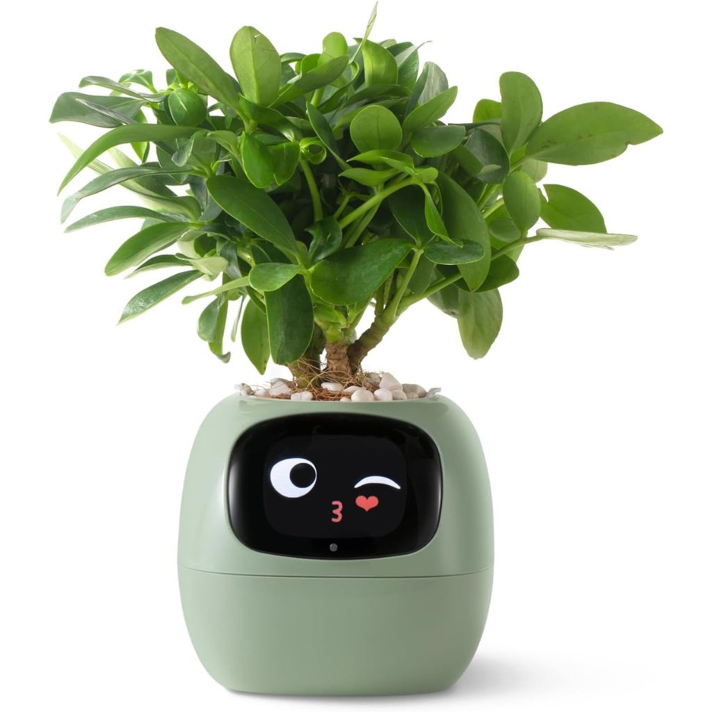 Smart Indoor Planter with 70 Animations and Alexa