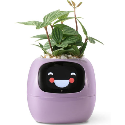 Smart Indoor Planter with 70 Animations and Alexa