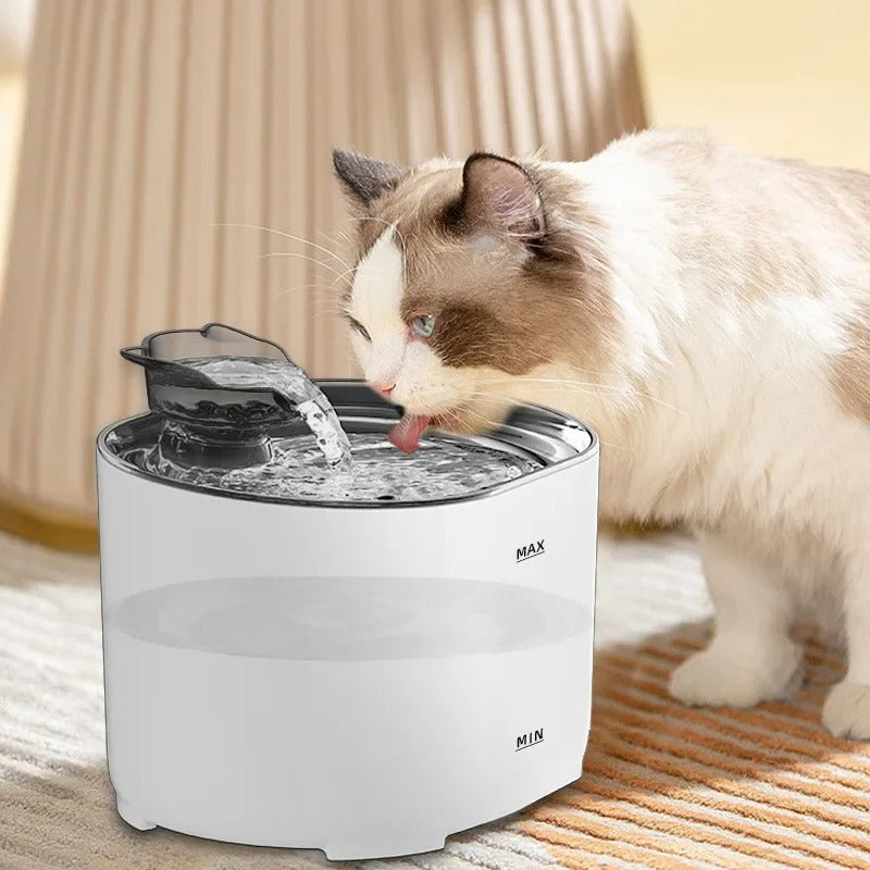 Pet Fountain with Automatic Flow and Advanced Filter System
