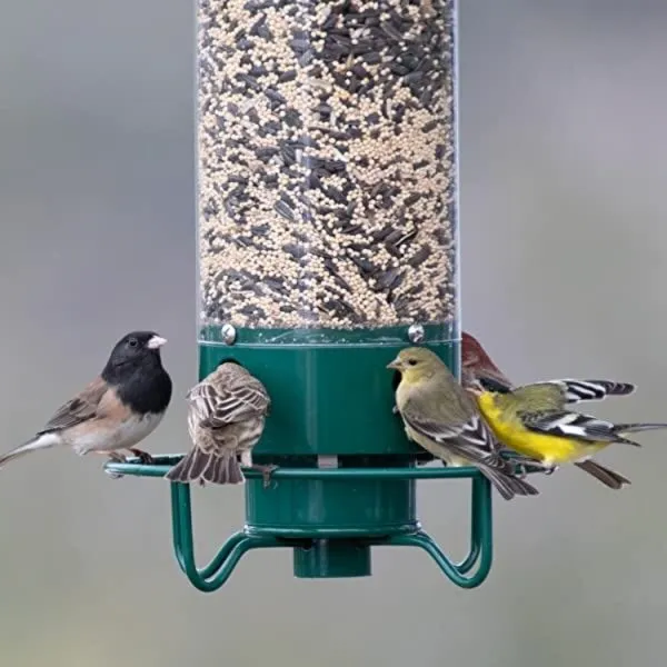 Wild Bird Feeder with Squirrel Guard - VogeLuxe