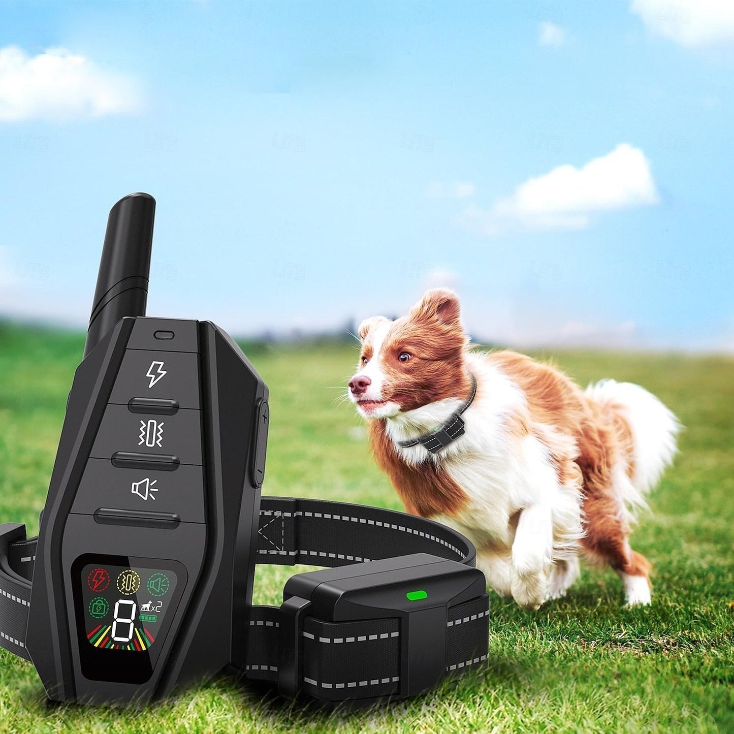 Advanced Remote Control Dog Trainer Collar Waterproof IPX7 - VogeLuxe