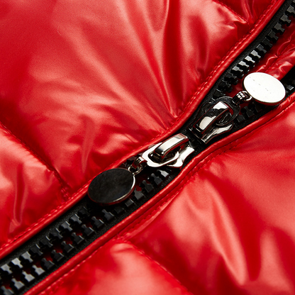 VogeLuxe | Men’s Warm Shiny Quilted Hooded Puffer Jacket