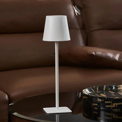 Portable Adjustable Desk Lamp